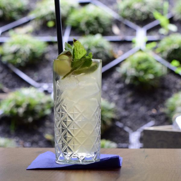 Our top cocktails