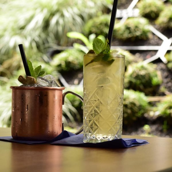 Our top cocktails